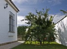 Casa Marin 1