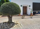Casa Salamandra