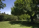 Casa Damasco