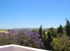 Villa Vigia 