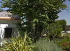 Casa Higuera Pool
