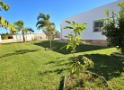 Casa Buda