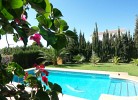 Außenansicht Pool und Garten