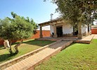 Casa Alba