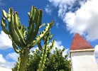 Casa Noelia