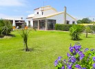 Garten mit Ferienhaus