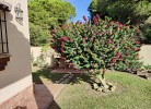 Casa Beni