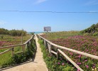 Weg zum Strand (weniger als 5 min Entfernt)